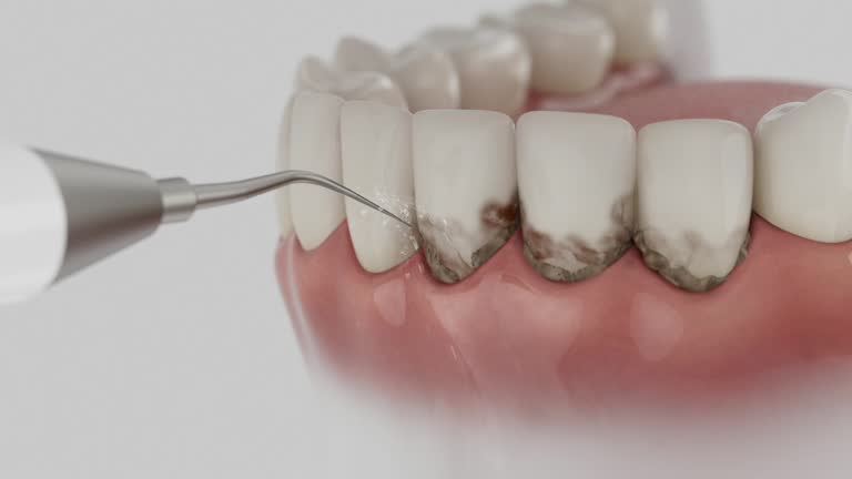 Reliable Dental contractor in James Island, SC by Dentist Open Now